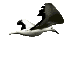 http://www.isabellevoyancepure.com/voyance/mouette.gif